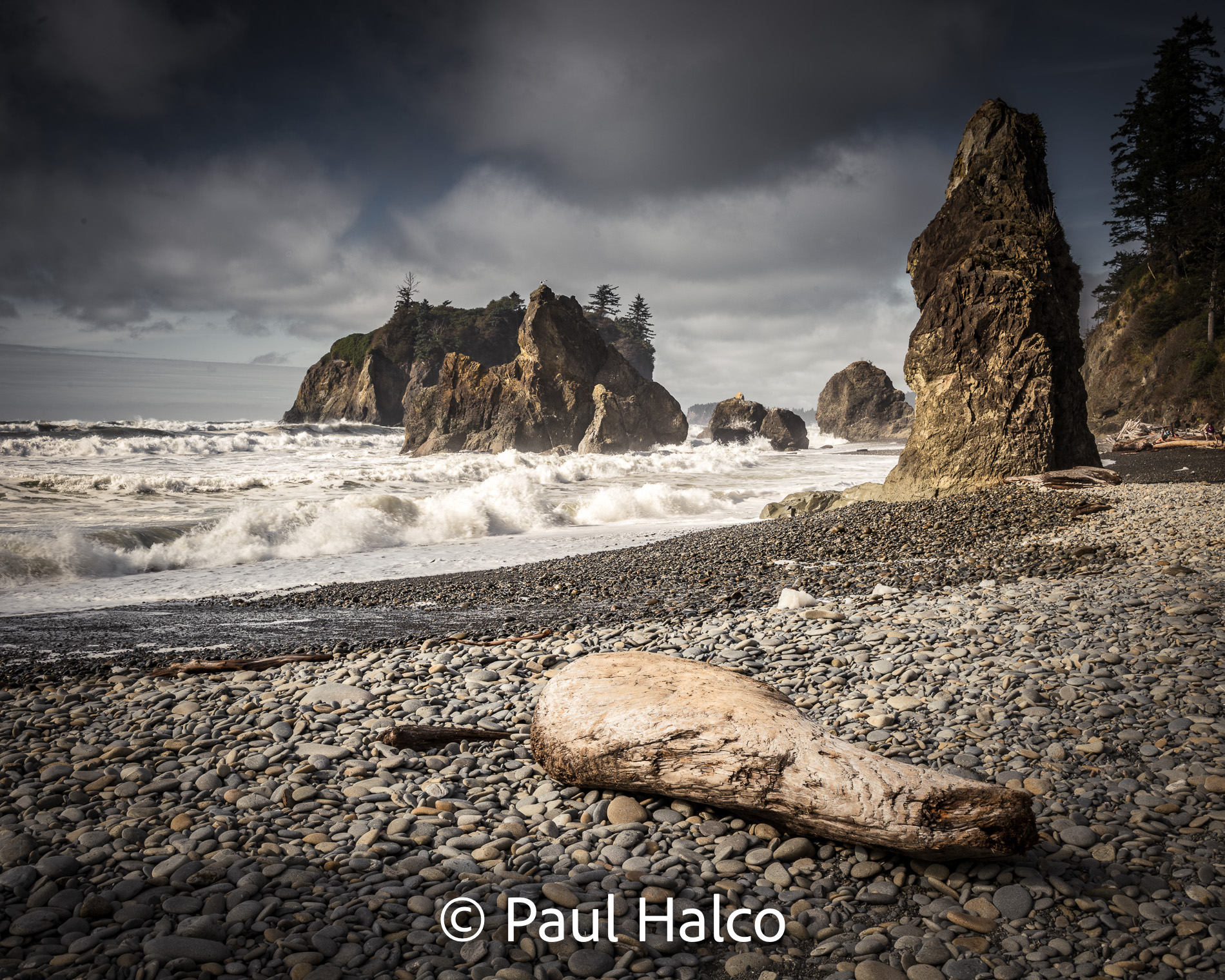 Paul Halco - Olympus NP-10